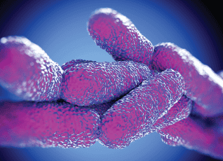 Legionella: What Is It and How to Control It